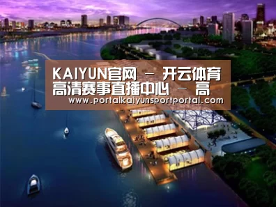 案例展示八